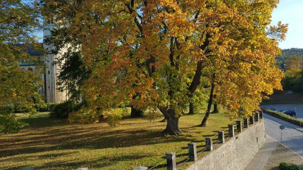 Stiftsblick Apartamento Gernrode  Exterior foto